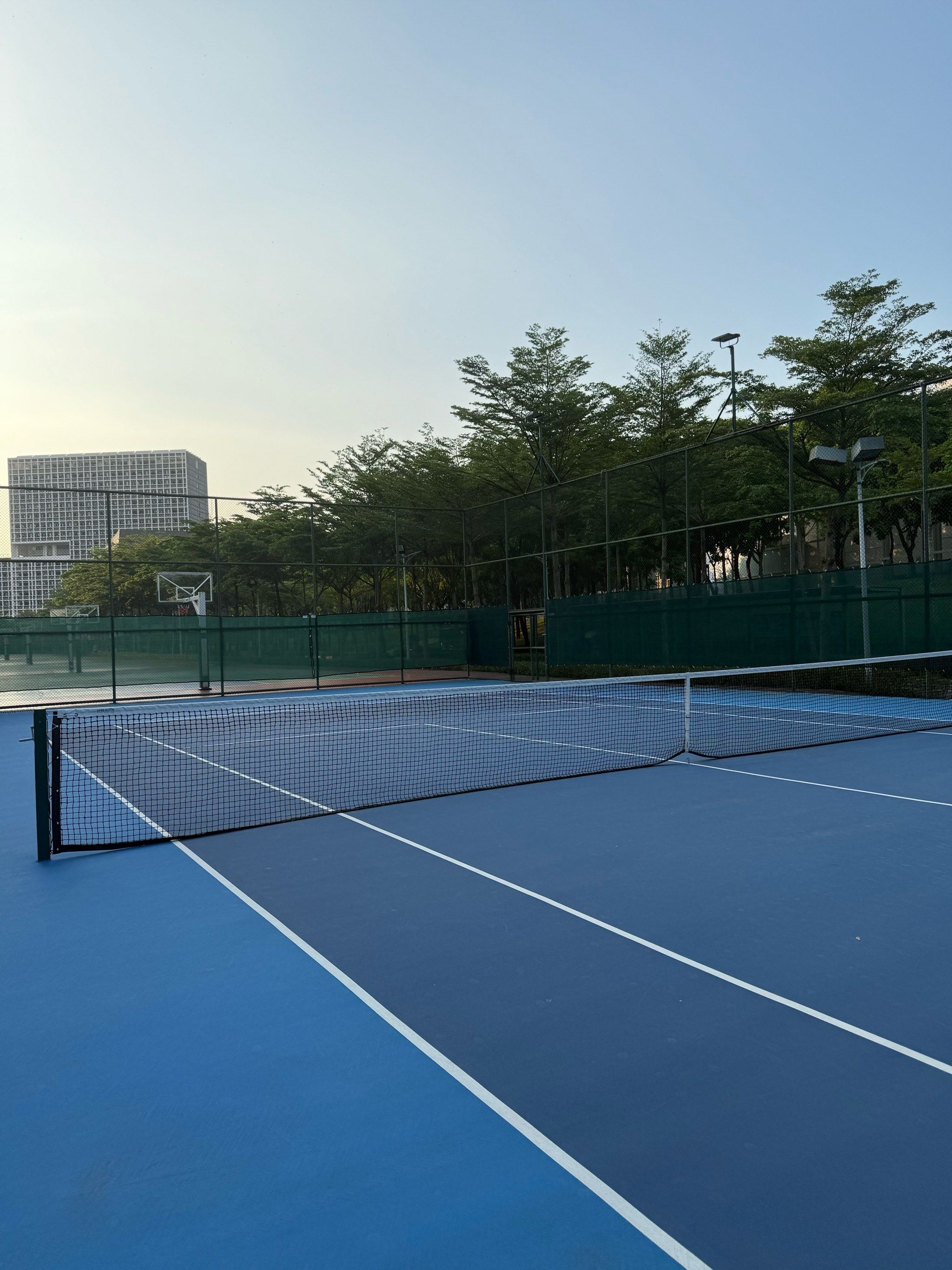 逐步增强自 逐步增强自